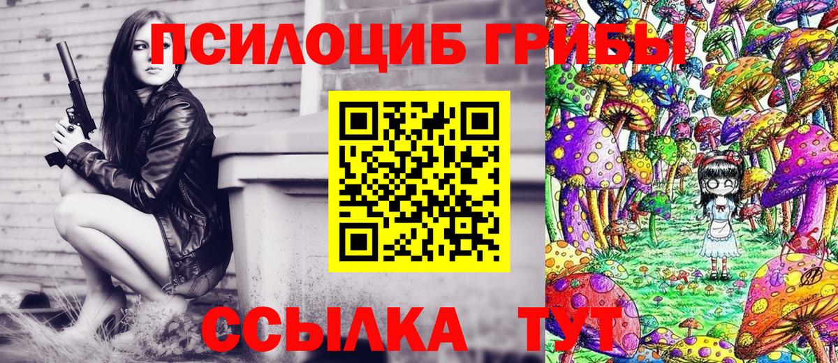 Галлюциногенные грибы мицелий  Вход с VPN  Майкоп 
