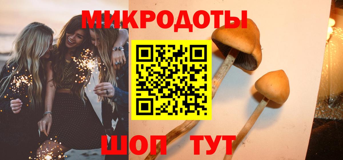 Галлюциногенные грибы ЛСД Майкоп